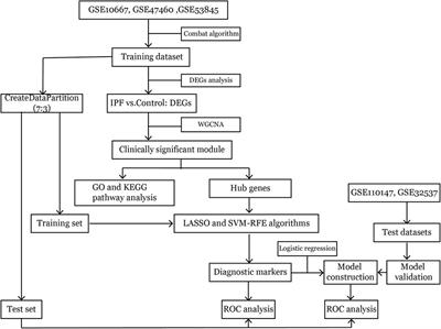 A potential three-gene-based diagnostic signature for idiopathic pulmonary fibrosis